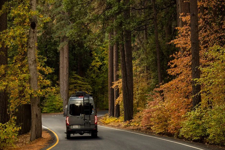 Mobile RV repair and camping near Lumberton, Texas