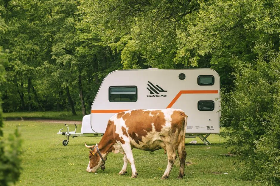 Mobile RV repair and camping near Willis, Texas