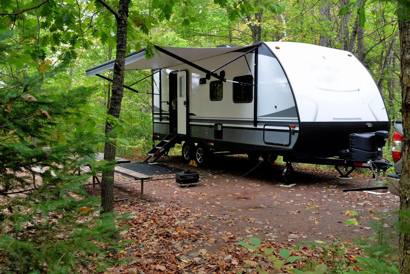 Travel trailer parked among the East Texas pines
